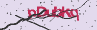 Code captcha