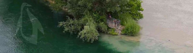 Featured image of post Engagement durable