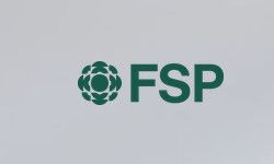 Featured image of post FSP Lohnschätzer